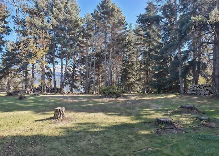 Refugio En El Bosque