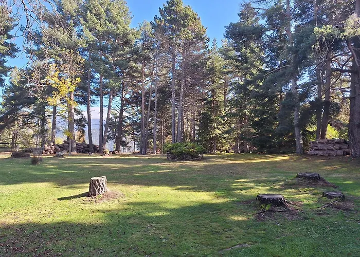 Refugio En El Bosque
