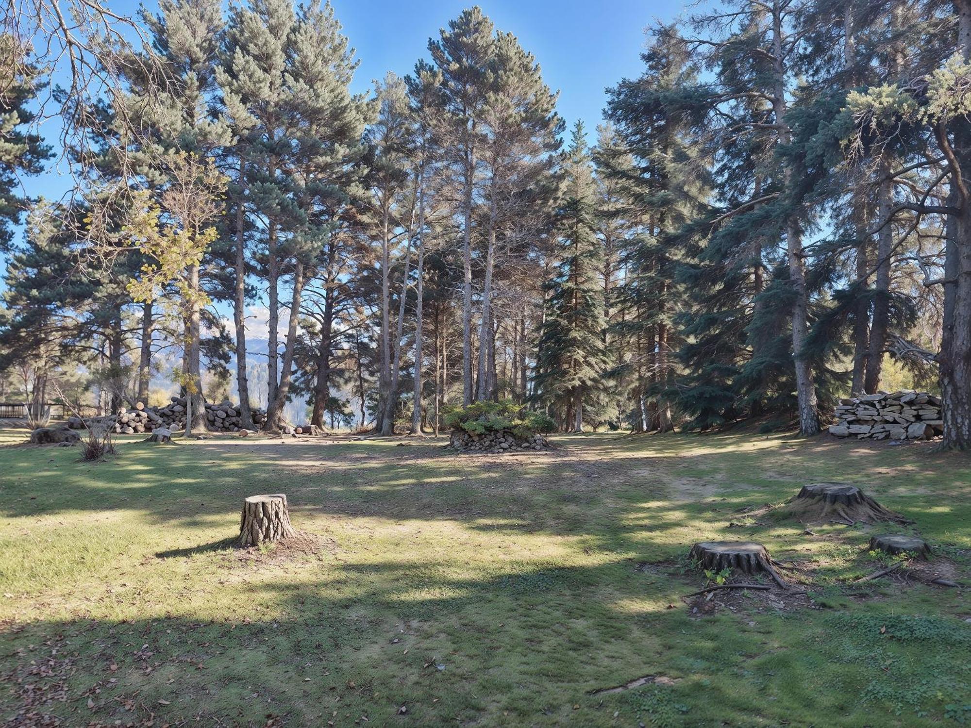 Apartment Refugio En El Bosque