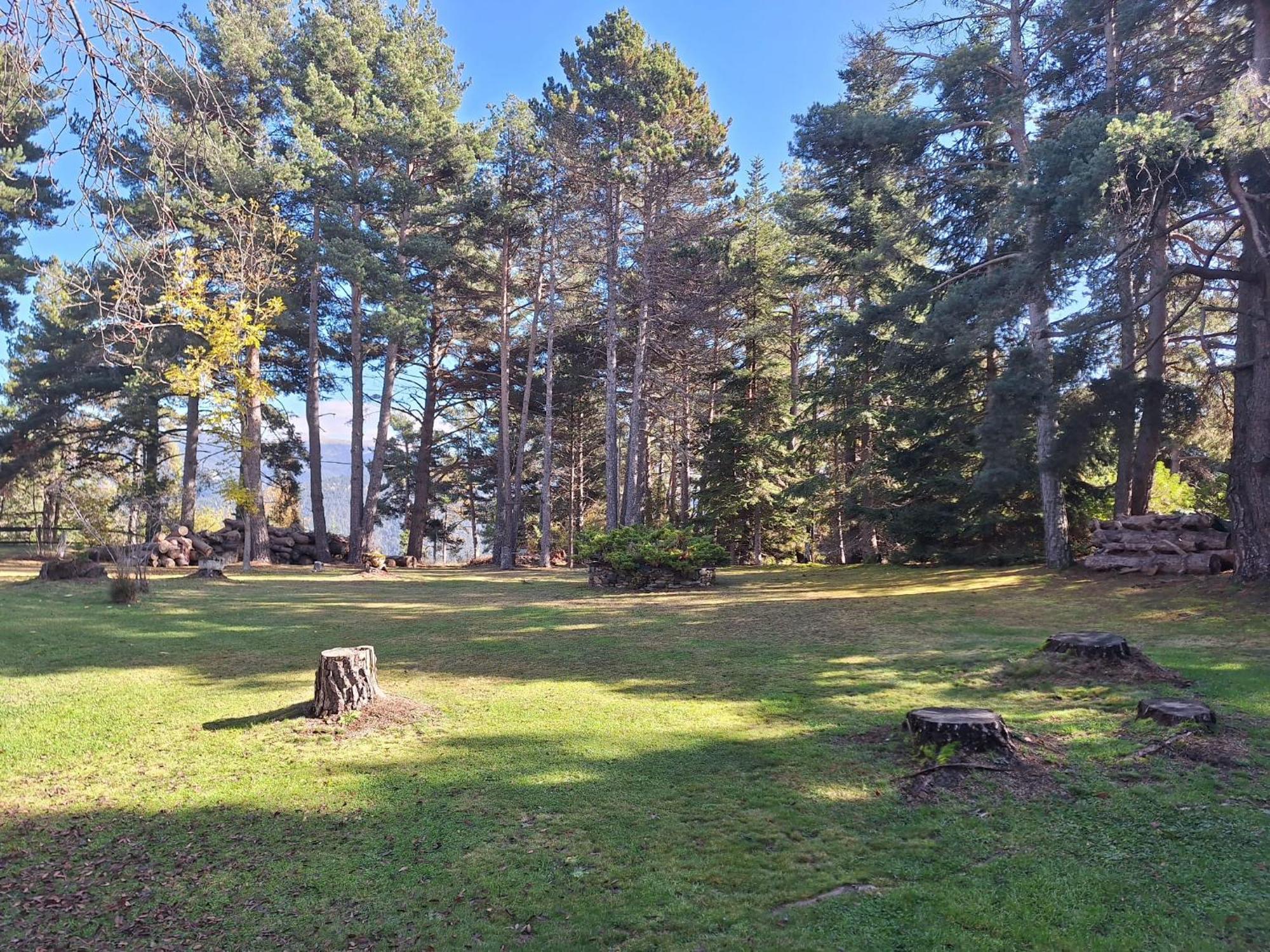 Refugio En El Bosque Apartment La Molina (Girona)